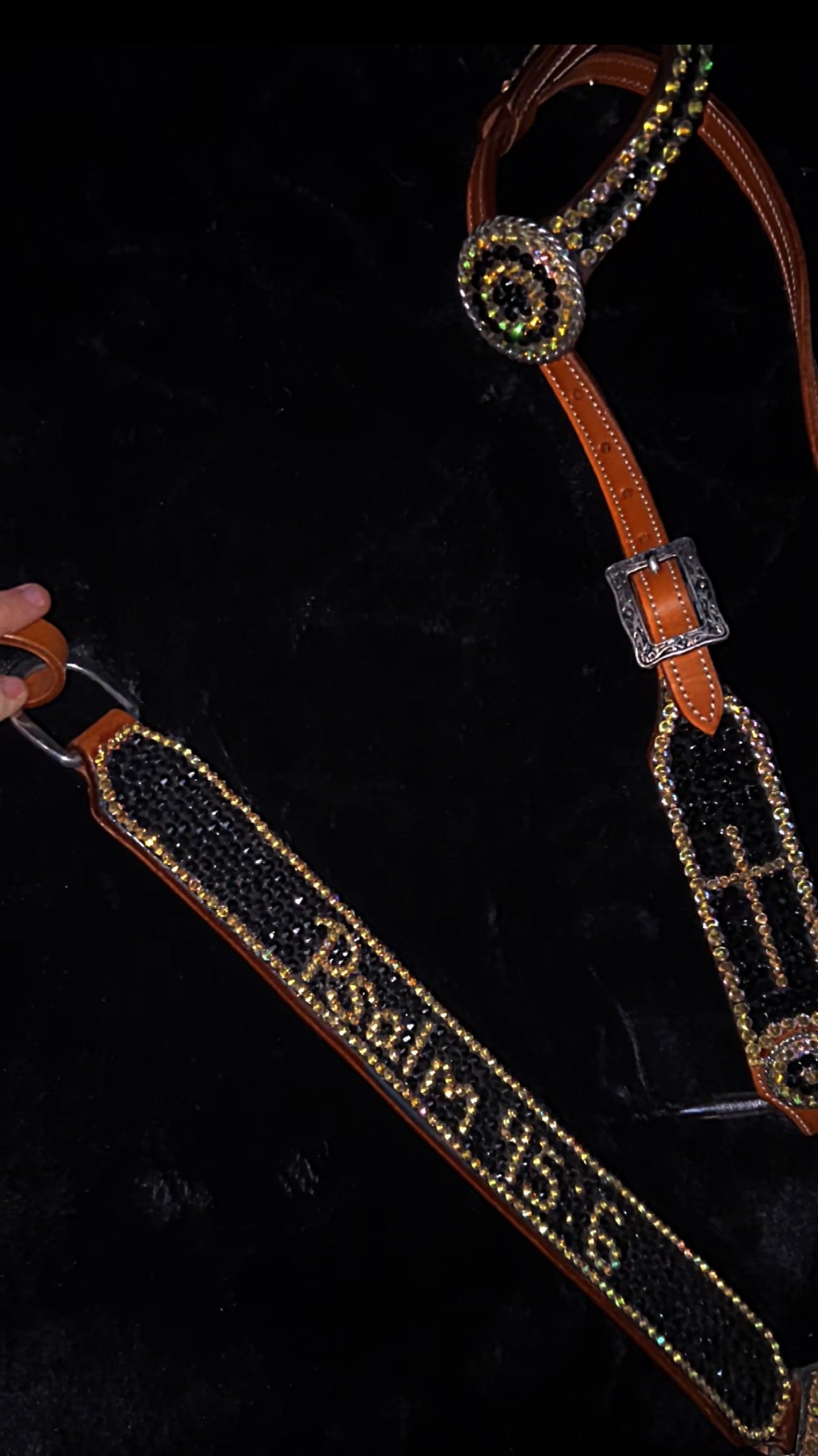 Psalm 45:6 set - headstall - breastcollar - tack set