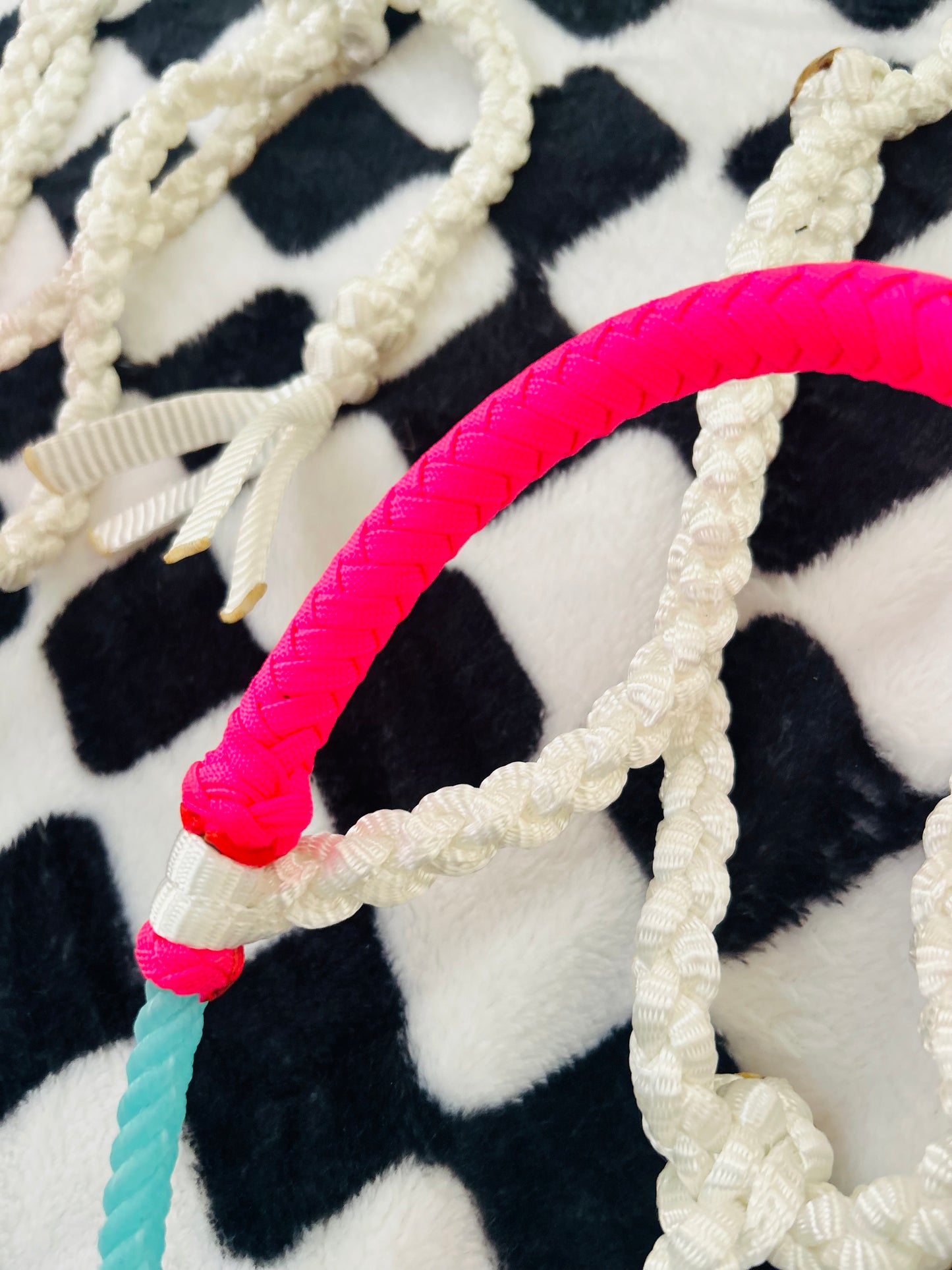 Lariat halters