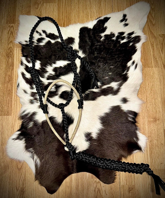 Basic lariat halter