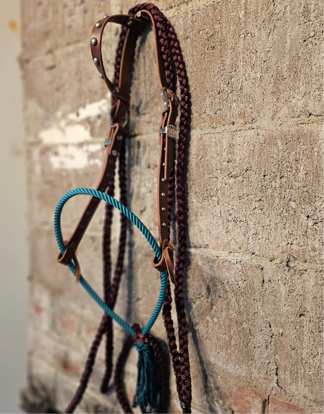 Loping hackamore - headstall