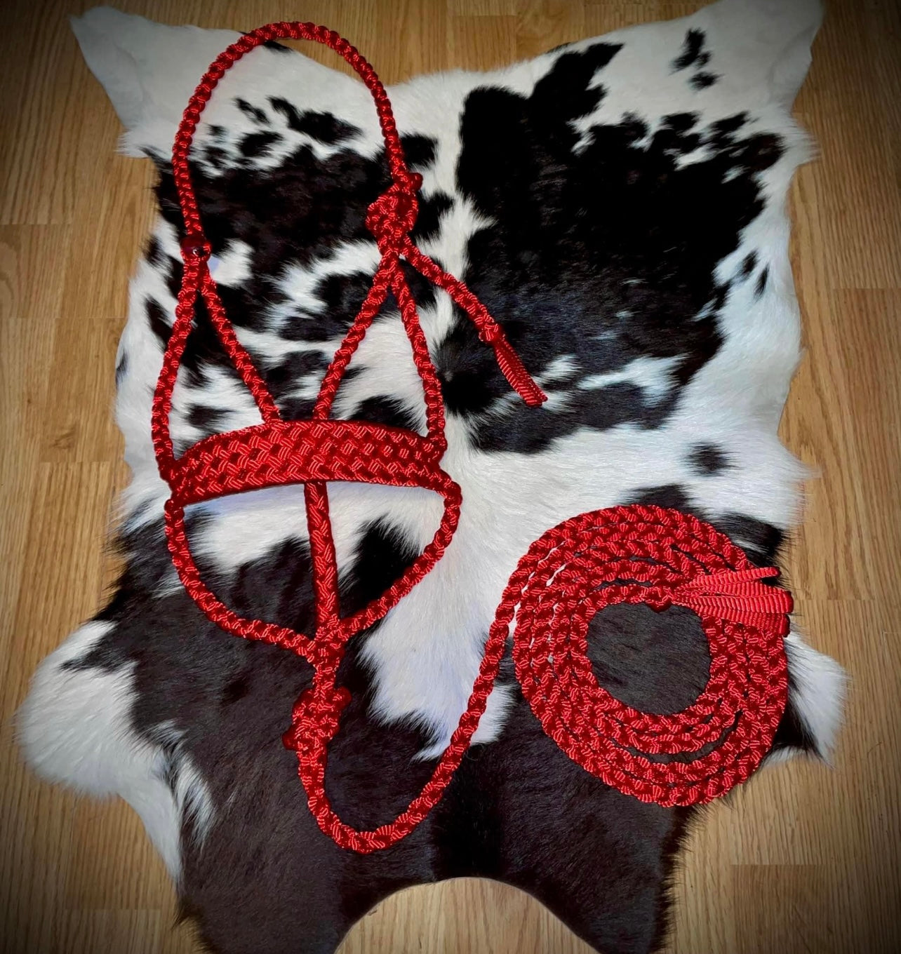 Solid color muletape halter