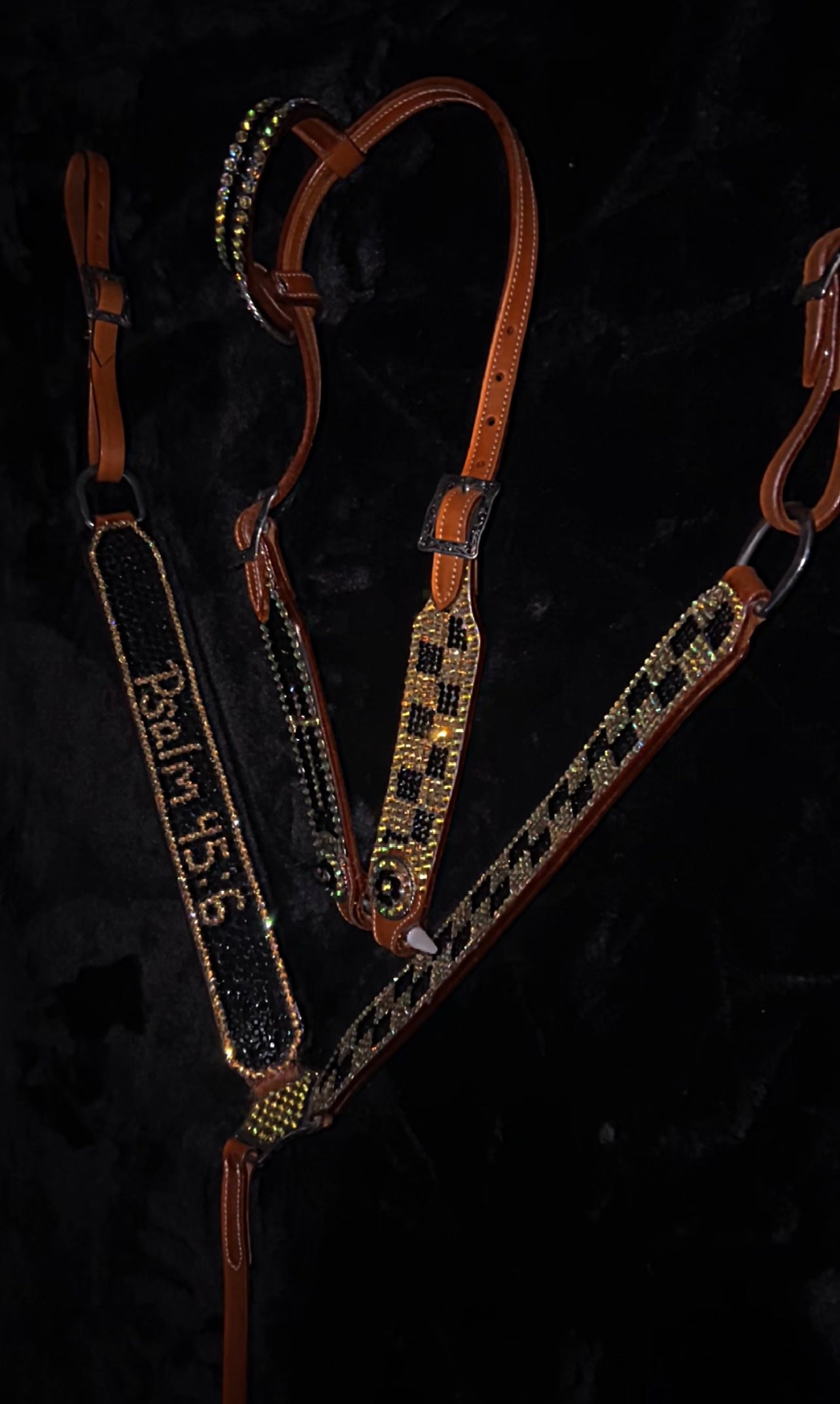 Psalm 45:6 set - headstall - breastcollar - tack set