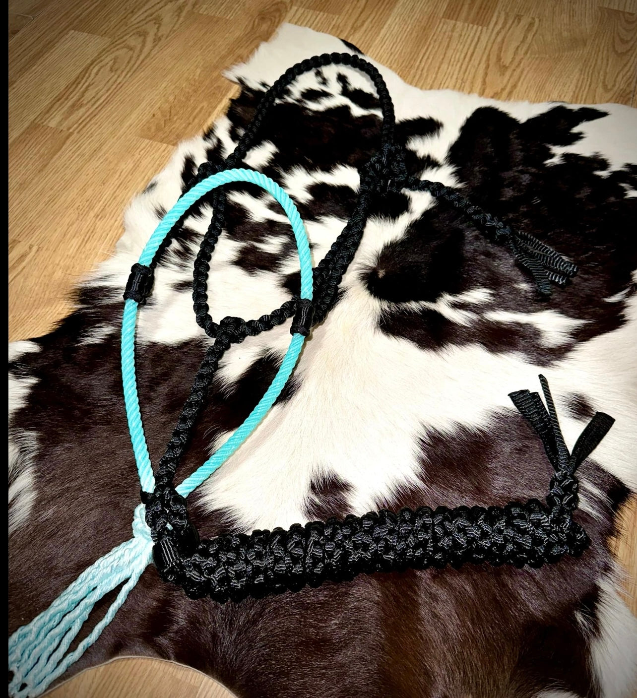 Teal and black lariat halter
