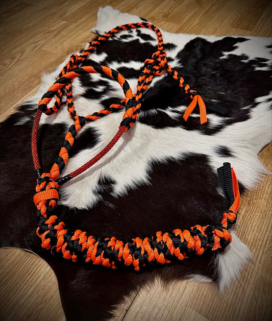 Black and orange lariat halter
