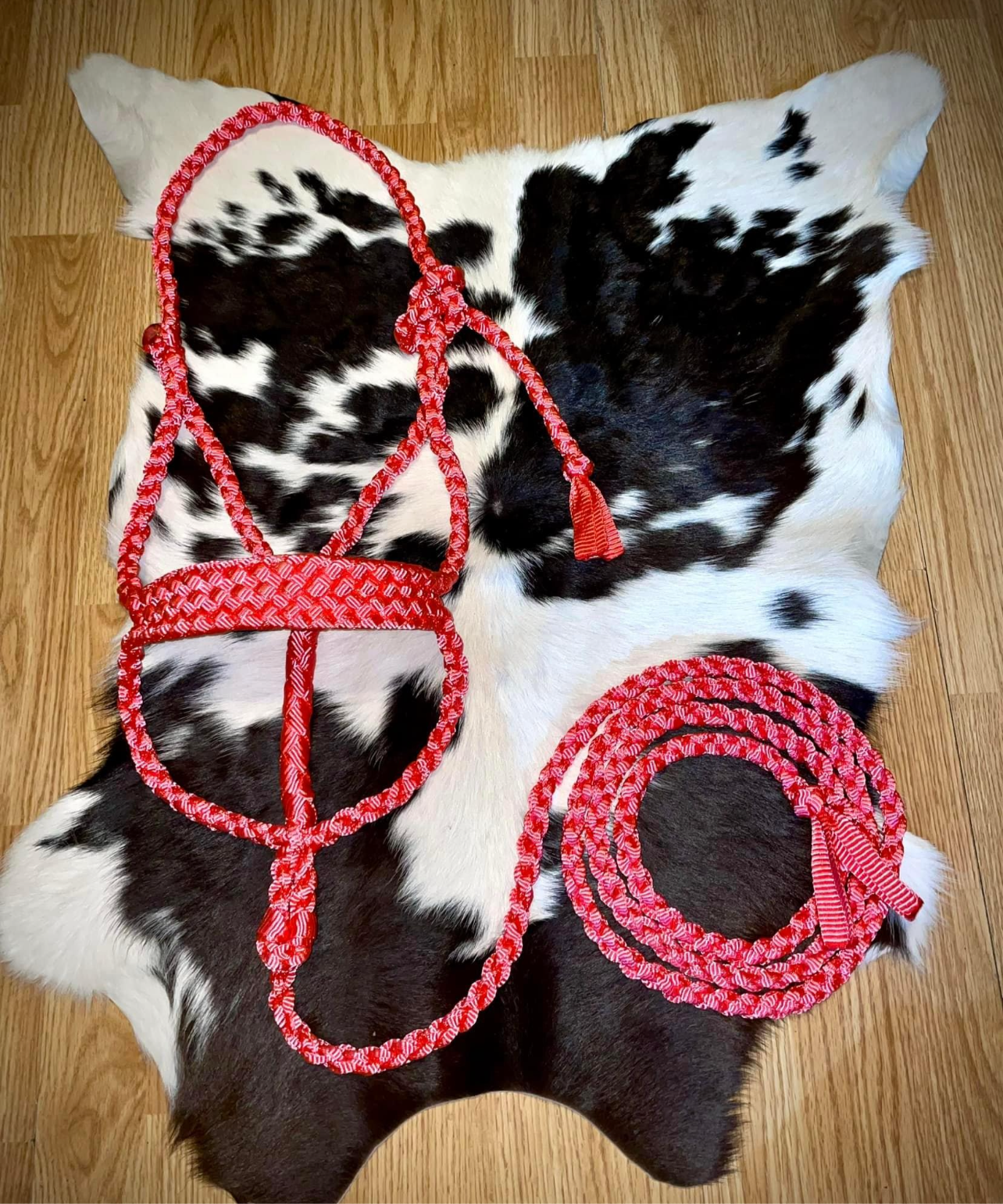 Solid color muletape halter