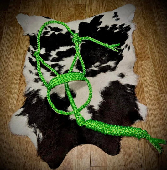 Solid color muletape halter