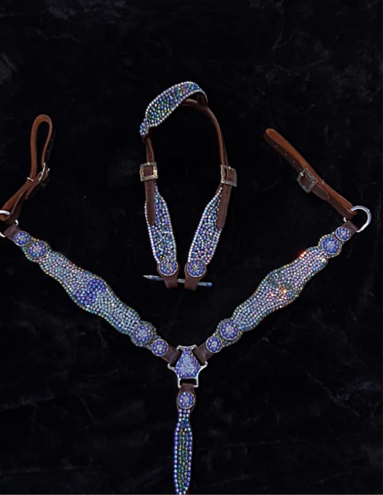 Dazzled money set - headstall - breastcollar - tack set
