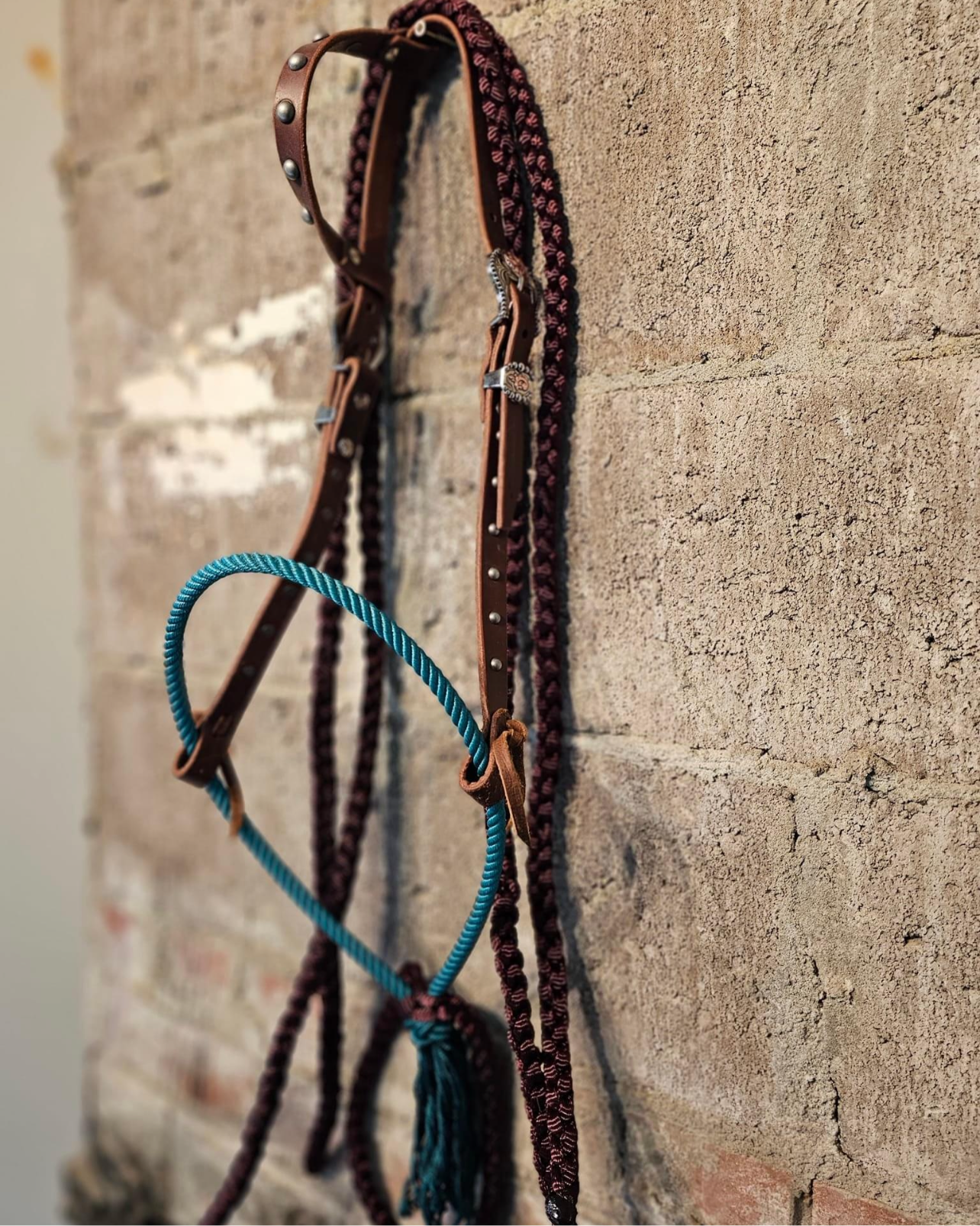 Loping hackamore - headstall