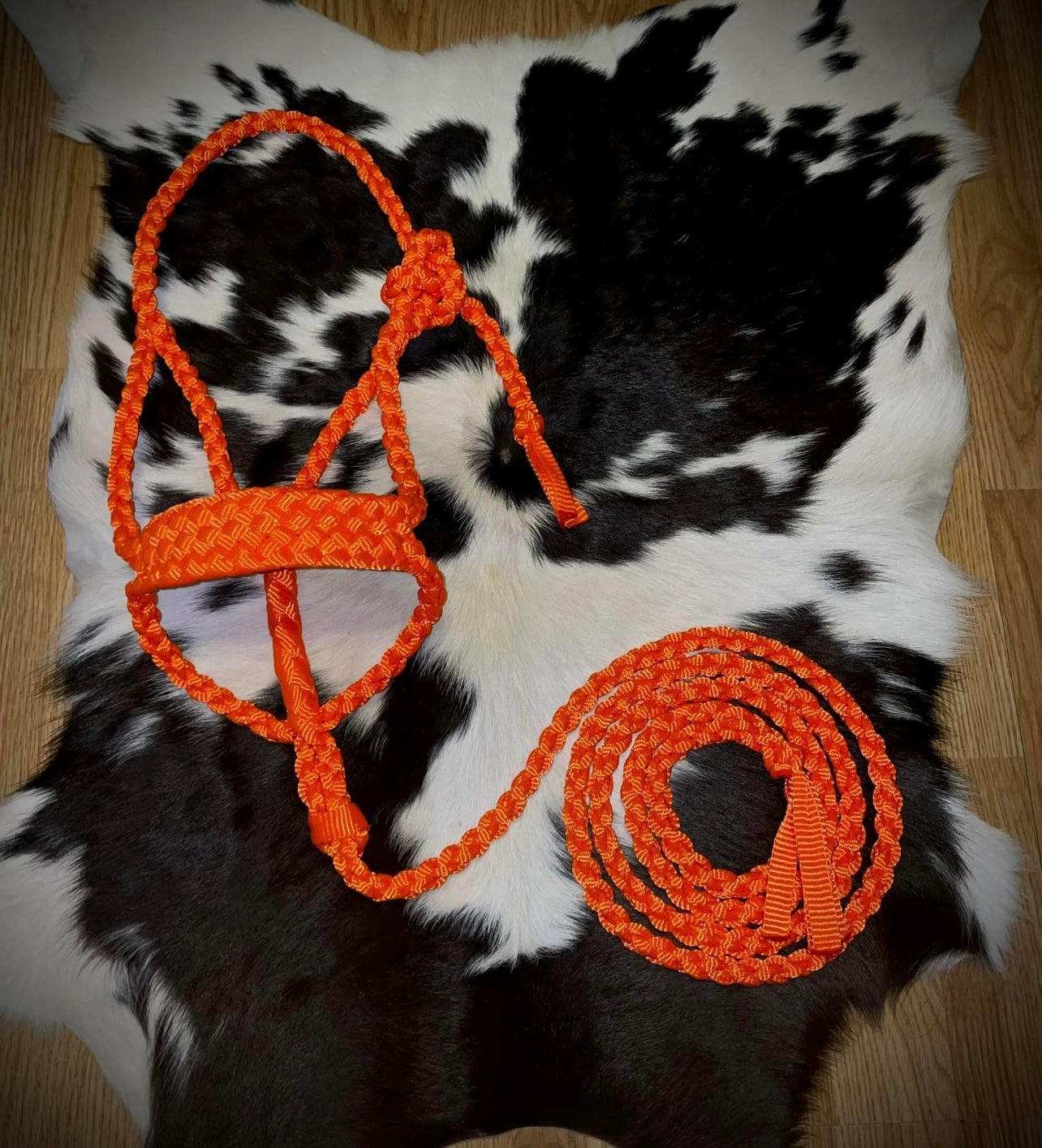 Solid color muletape halter