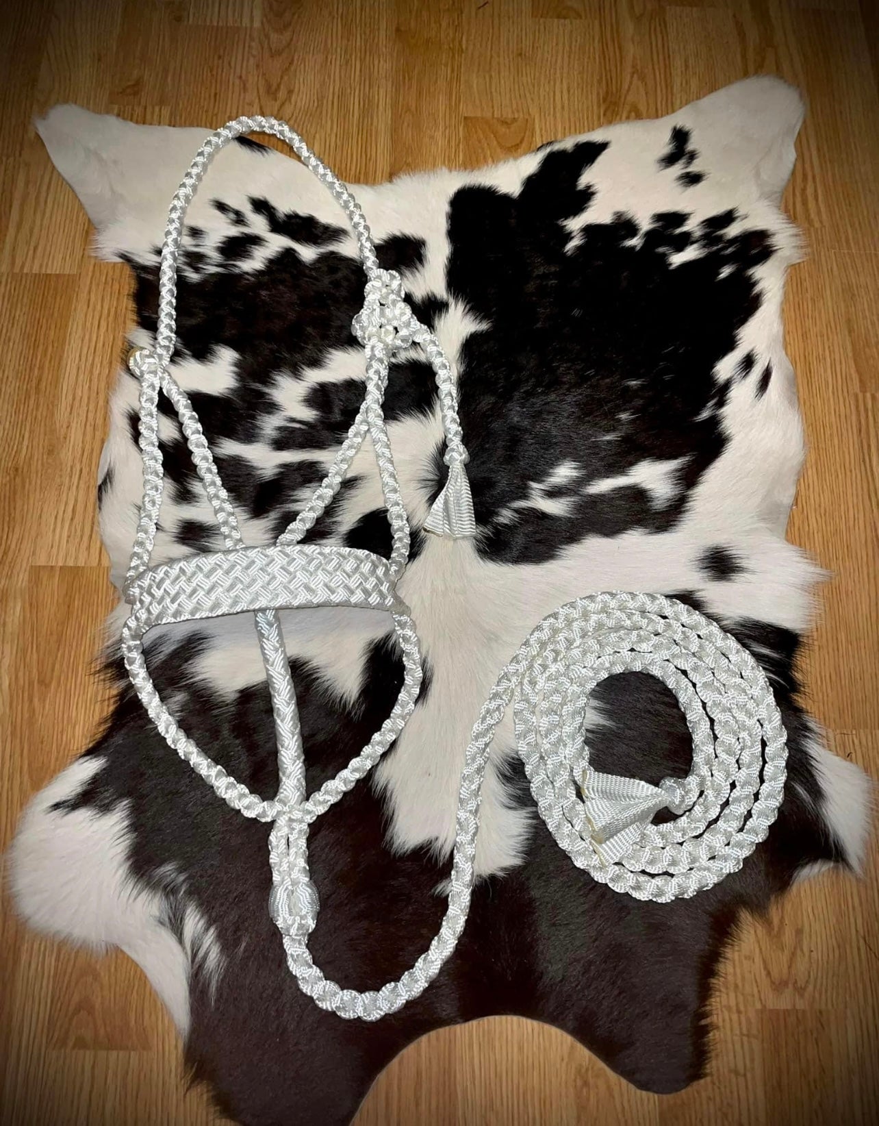 Solid color muletape halter