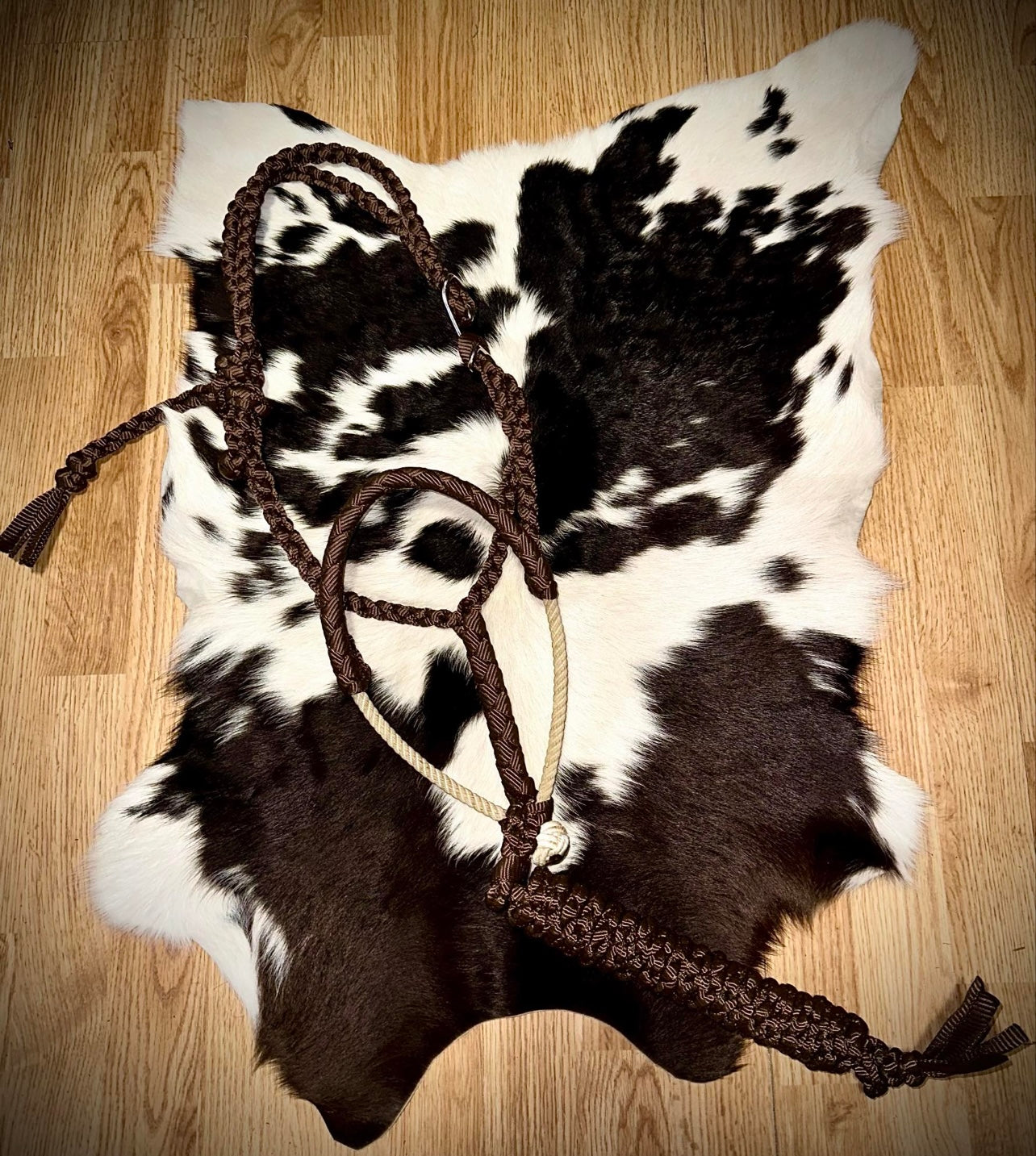 Basic lariat halter