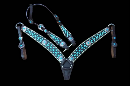 Turquoise stone set